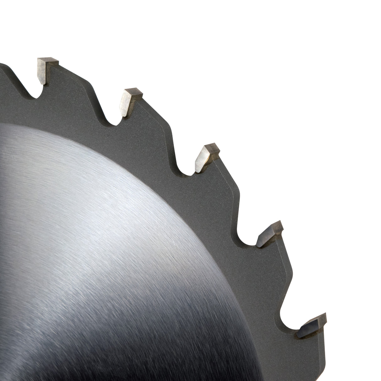 10" x 3/8" Kerf x 24T STR Groover Saw Blade